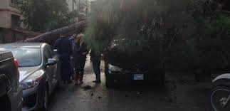حادثة سقوط شجرة على شاب في منطقة #الطيونة