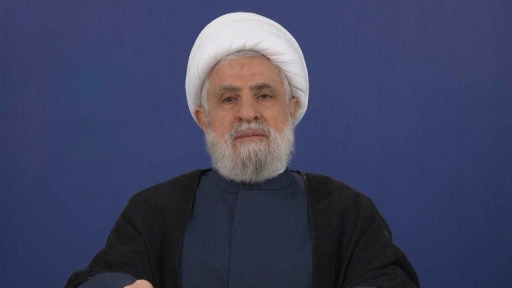 قاسم أعلن في ذكرى نصرالله وصفي الدين عن المساهمة في مشروع 