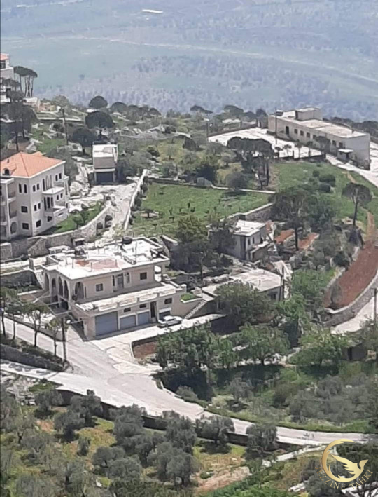 https://www.jezzinetahki.com/upload/je_news/multi_je_news_img/46122/je_news_46122_1719550861.2091b74ea3b5eee6b0c3b8119766f6ce423.jpg