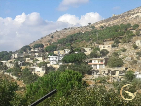 https://www.jezzinetahki.com/upload/je_news/multi_je_news_img/46122/je_news_46122_1719550862.209310f2b903341225b9c78f3721343cebc.jpg