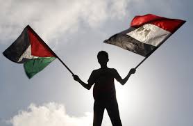سفير مصر لدى واشنطن: القاهرة لن تلعب أي دور في تهجير الفلسطينيين