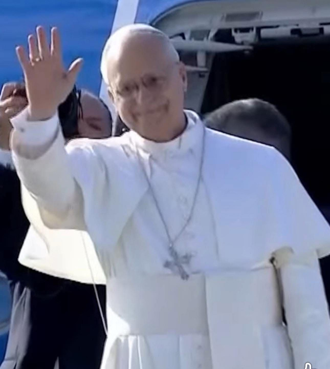 مالك: زيارة البابا لاوون محطة استثنائية ستبقى خالدة في قلب وذاكرة اللبنانيين