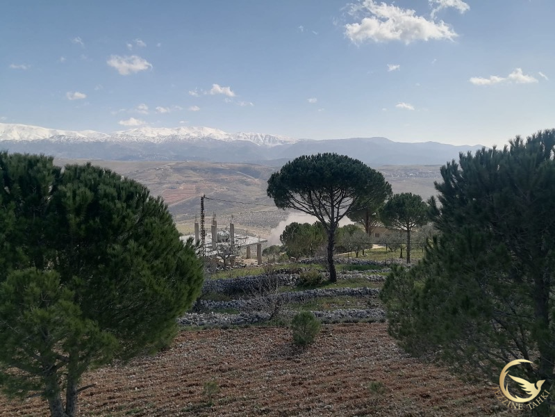 الغارات مستمرة على خراج بلدة السريرة في ما يعرف الزلقا