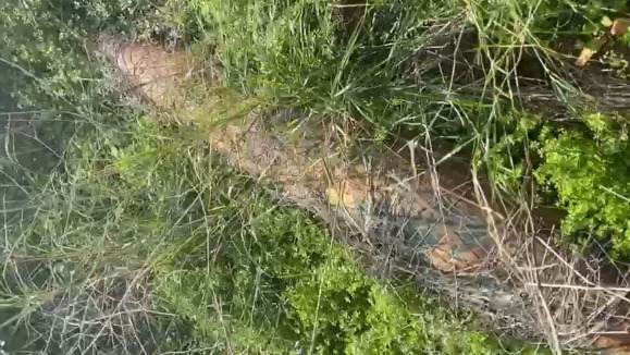 العثور على  صاروخ غير منفجر من مخلفات الحرب في بلدة بيوت السياد