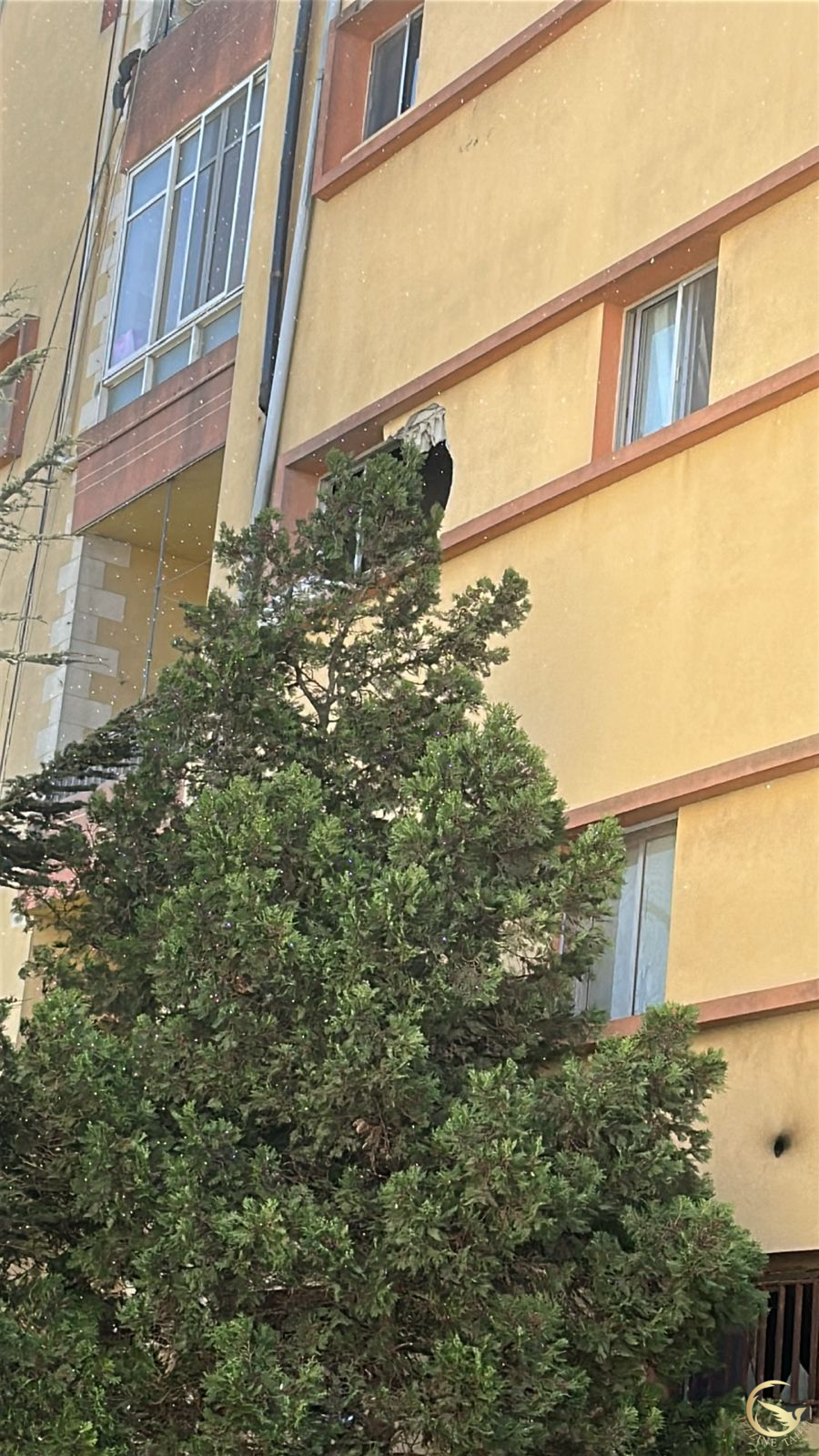 الشقة التي أصيبت بالمدفعية الاسرائيلية في القليعة