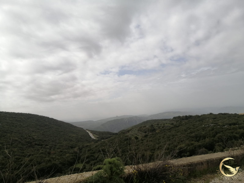 جزين تحكي: غارة على الخيام