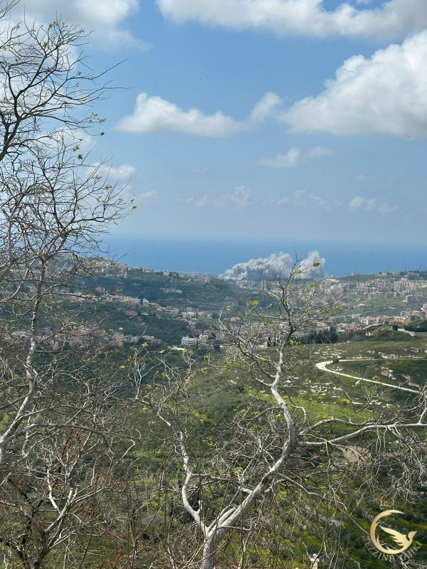 استهداف مجمع الزهراء في صيدا