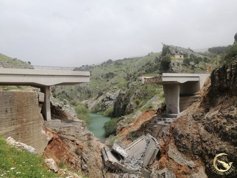 نقل مراسل جزين تحكي جوني كيوان لنا صورة جسر الدلافة والذي يبدو أن المسافة التي هدمت منه نتيجة استهدافه في الغارات هي ٢٥ مترا طوليا والركائز ما زالت سليمة