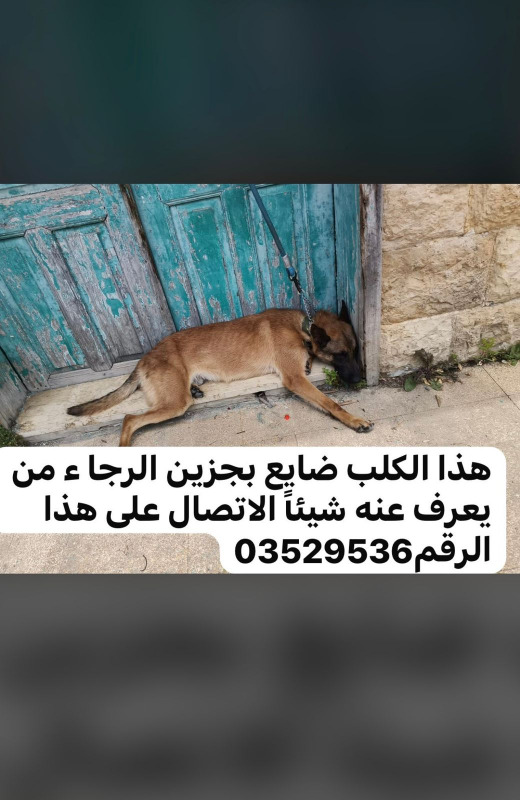 قرى