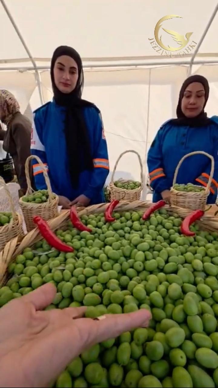 الجنوب